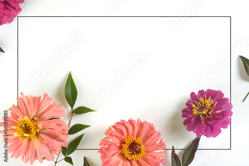 Billede på lærred Minimalism modern floral flat lay with zinnia flowers isolated on white background framed with copy space for mothers day