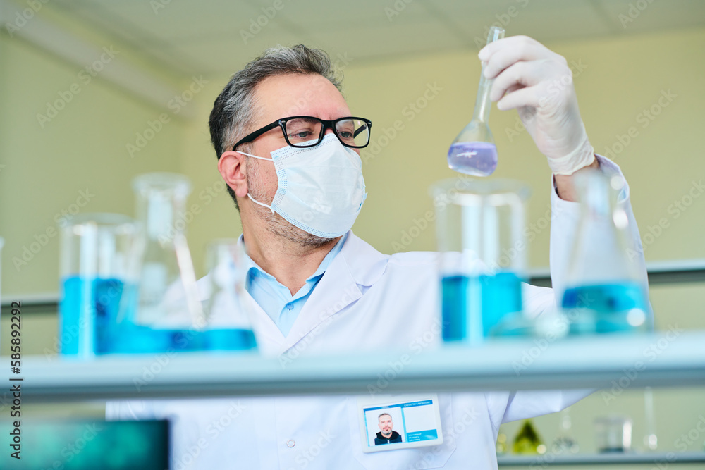 Fototapeta premium Mature male virologist in protective mask and gloves looking at liquid in beaker while studying its characteristics during experiment