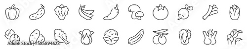 Vegetables thin line icon set 2 of 2. Symbol collection in transparent background. Editable vector stroke. 512x512 Pixel Perfect.