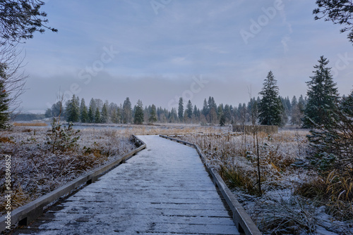 bridge going to the forest, in a winter landscape © ExtatiK
