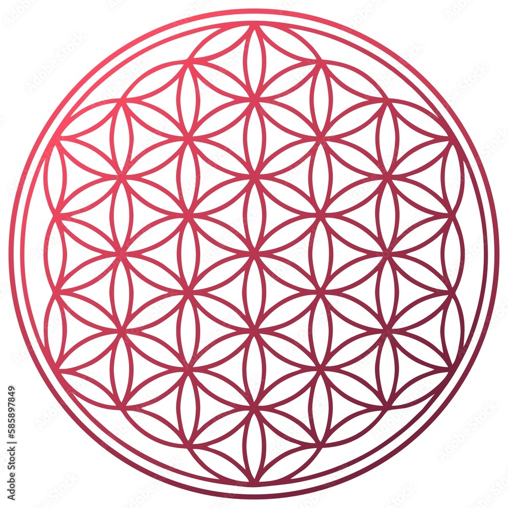 flower of life spiritual symbol red flower of life spiritual symbol red