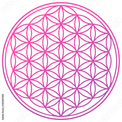 flower of life spiritual symbol pink
