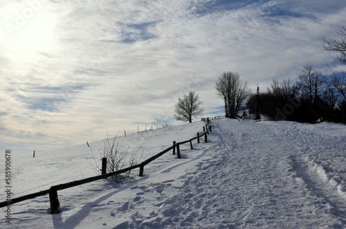 Wallpaper Mural Verschneiter Fußweg auf dem Schauinsland Torontodigital.ca