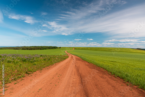 Dirt road running through a field with green grass beyond the horizon