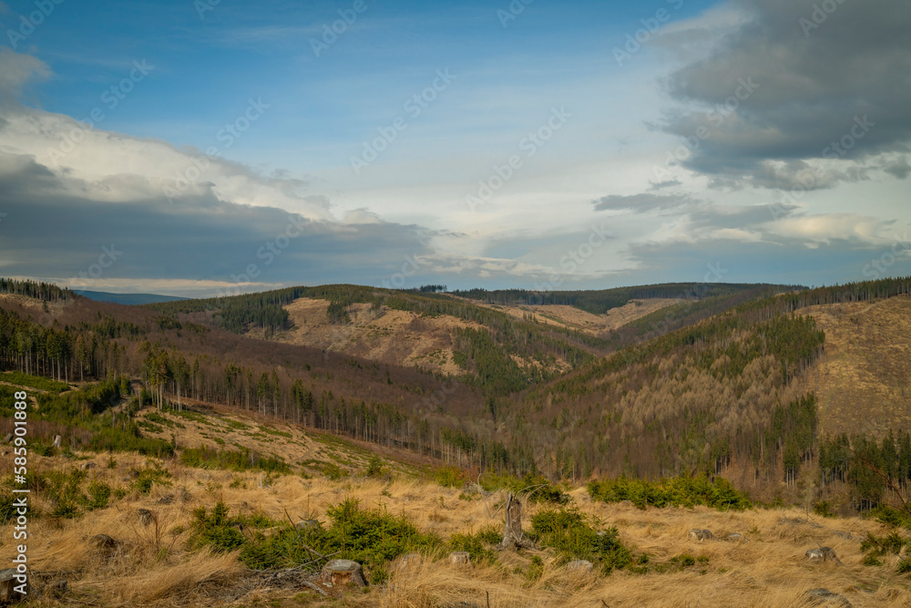 Jeseniky mountains without forests with bark beetle in spring day