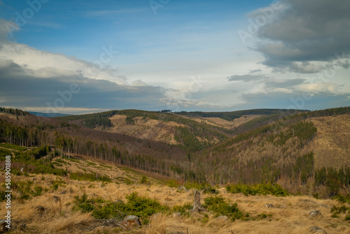 Jeseniky mountains without forests with bark beetle in spring day