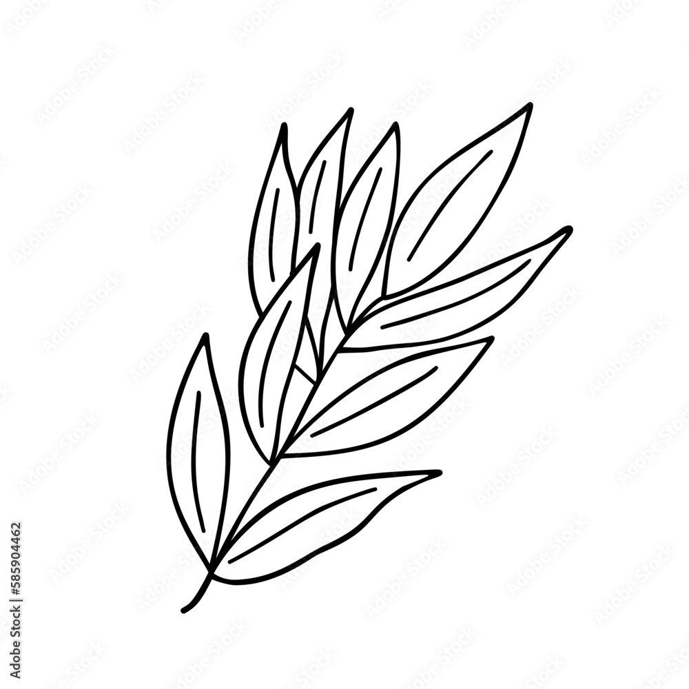 Leaf simple isolated outline vector minimalist concept illustration, black and white thin line hand drawn floral element for design of invitations, greeting cards, booklet Leaf simple isolated outline vector minimalist concept illustration, black and white thin line hand drawn floral element for design of invitations, greeting cards, booklet