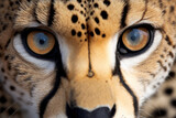 portrait of a cheetah. closeup of his head and eyes. Generative AI