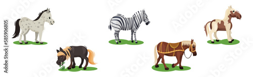 Horse with Crest and Tail on Green Field Vector Set