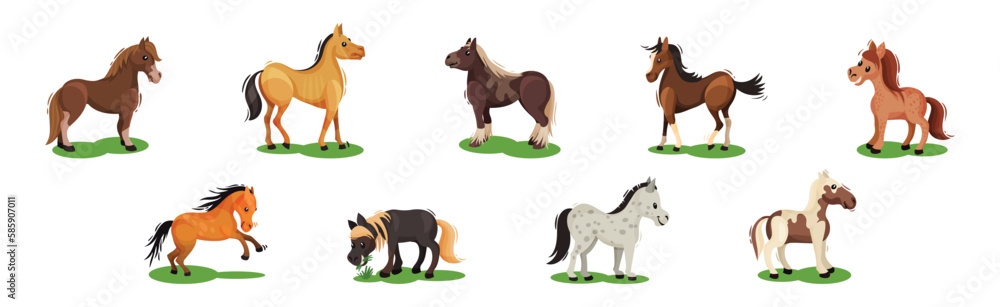 Horse with Crest and Tail on Green Field Vector Set Horse with Crest and Tail on Green Field Vector Set