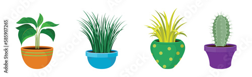 Semi-tropical Houseplant Growing in Potting Soil in Ceramic Flowerpot Vector Set