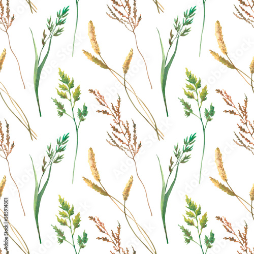 Watercolor seamless pattern with silhouettes of flowers and grass  drawing by watercolor  hand drawn floral illustration  isolated on white background  herbal ornament.