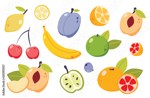 Summer fruit collection. Set of fresh tropical and garden fruits, organic biological vegan food. Cute cartoon vector illustration isolated on a white background