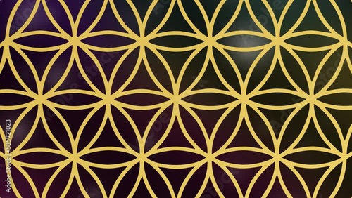 Flower of life on black background universe zoom