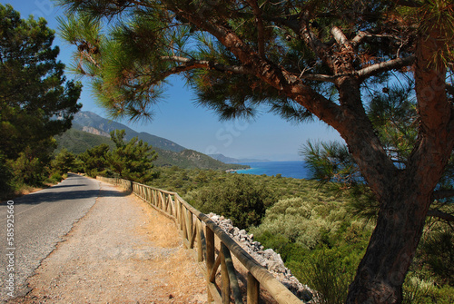 Canvas Print Turkey 2008 - Kusadasi Milli Park