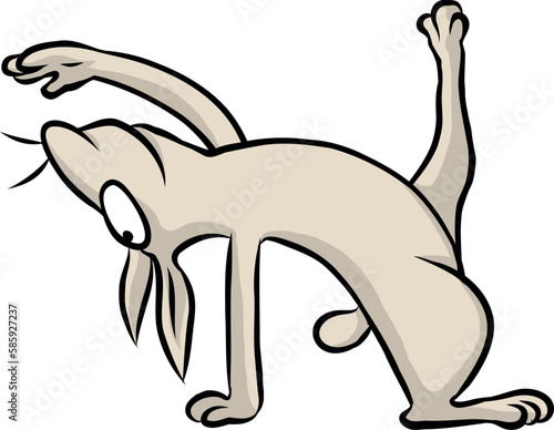niedlicher, kleiner weißer Hase streckt und verrenkt sich beim Yoga oder der Gymnastik