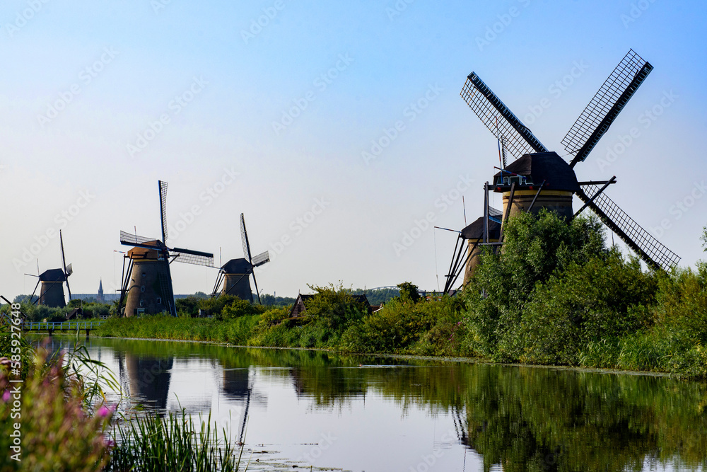 Naklejka premium Windmills in Kinderdijk, The Netherlands
