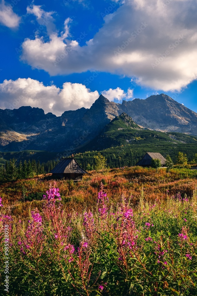 Beautiful mountain summer landscape. The famous Polish valley of Gasienicowa in the Tatra Mountains.