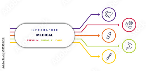 set of medical thin line icons. medical outline icons with infographic template. linear icons such as pancreas, gum, scalpel, emergency call, stoh vector.