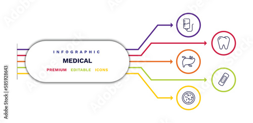 set of medical thin line icons. medical outline icons with infographic template. linear icons such as iv, liver, bacteria, premolar, bandage vector.