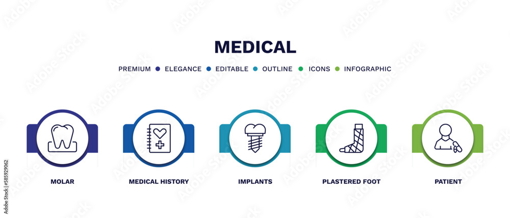 set of medical thin line icons. medical outline icons with infographic template. linear icons such as molar, medical history, implants, plastered foot, patient vector. set of medical thin line icons. medical outline icons with infographic template. linear icons such as molar, medical history, implants, plastered foot, patient vector.
