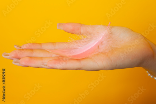 Close-up of a girl's hand holds feathers. Isolated on yellow background.