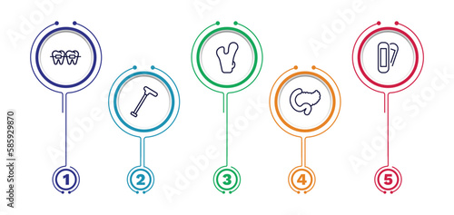 set of medical thin line icons. medical outline icons with infographic template. linear icons such as braces, femur, plaster, walking stick, pancreas vector.