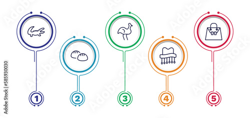 set of culture and civilization thin line icons. culture and civilization outline icons with infographic template. linear icons such as australian alligator, australian emu, crocodile leather bag,