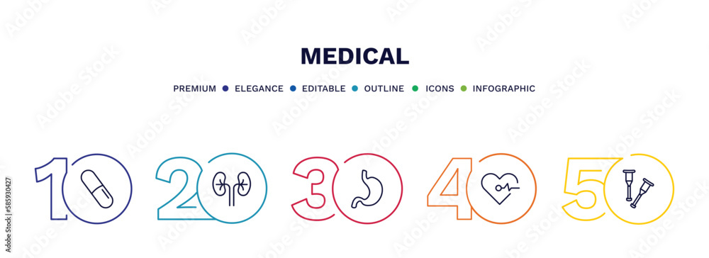 set of medical thin line icons. medical outline icons with infographic template. linear icons such as pill, kidney, stoh, cardiogram, crutch vector. set of medical thin line icons. medical outline icons with infographic template. linear icons such as pill, kidney, stoh, cardiogram, crutch vector.