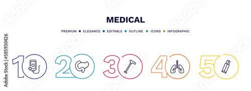 set of medical thin line icons. medical outline icons with infographic template. linear icons such as transfusion, pancreas, walking stick, lungs, gum vector.