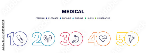 set of medical thin line icons. medical outline icons with infographic template. linear icons such as pill, kidney, stoh, cardiogram, crutch vector.