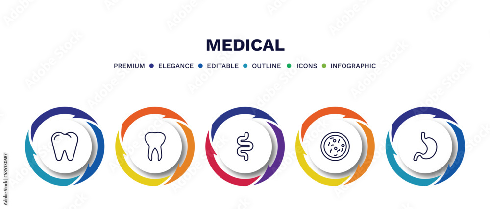 set of medical thin line icons. medical outline icons with infographic template. linear icons such as premolar, teeth, intestine, bacteria, stoh vector. set of medical thin line icons. medical outline icons with infographic template. linear icons such as premolar, teeth, intestine, bacteria, stoh vector.