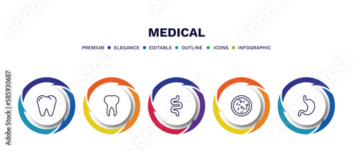 set of medical thin line icons. medical outline icons with infographic template. linear icons such as premolar, teeth, intestine, bacteria, stoh vector.