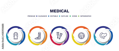 set of medical thin line icons. medical outline icons with infographic template. linear icons such as scan, plastered foot, crutches, germs, pancreas vector.