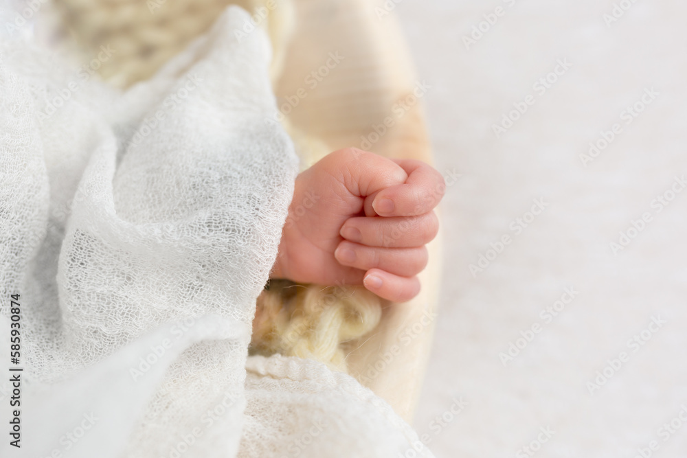 hand of a small child close-up. a little happiness. hand of a small child close-up. a little happiness.