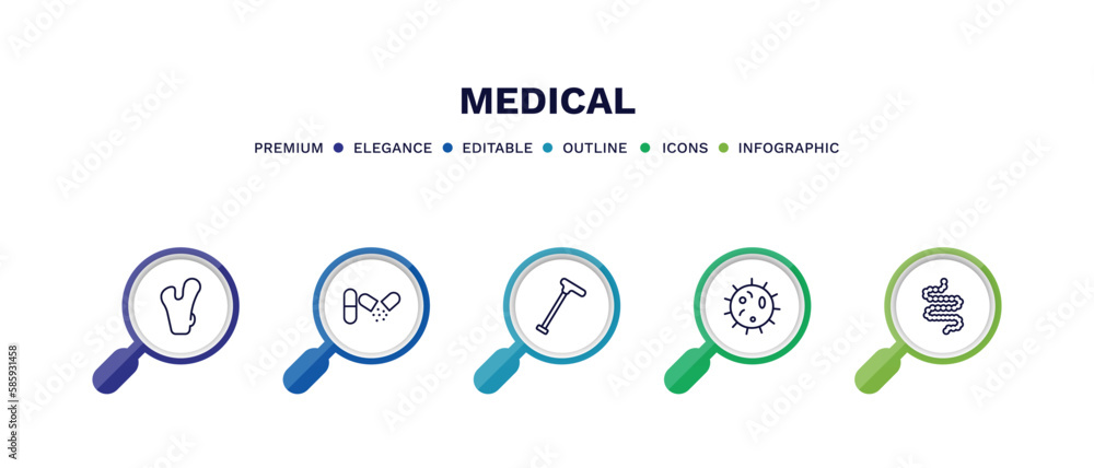 set of medical thin line icons. medical outline icons with infographic template. linear icons such as femur, antibiotic, walking stick, microbe, intestines vector. set of medical thin line icons. medical outline icons with infographic template. linear icons such as femur, antibiotic, walking stick, microbe, intestines vector.