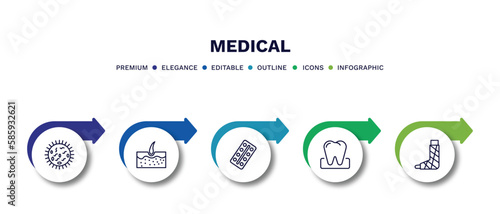 set of medical thin line icons. medical outline icons with infographic template. linear icons such as germs, epidermis, tablets, molar, plastered foot vector.