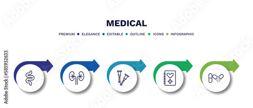 set of medical thin line icons. medical outline icons with infographic template. linear icons such as intestine, kidney, crutch, medical history, antibiotic vector.