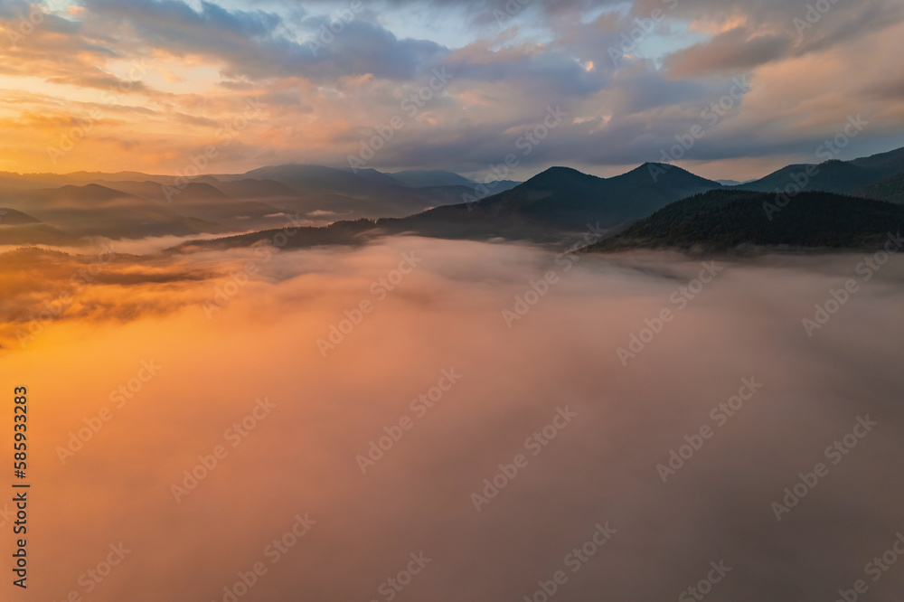 Fototapeta premium Idyllic landscape in the Alps with fresh green meadows and blooming flowers