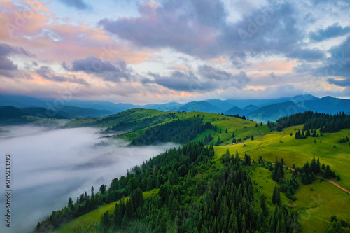 Mountains in clouds at sunrise in summer. Aerial view of mountain peak with green trees in fog. Beautiful landscape with high rocks  forest  sky.