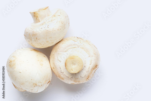 Champignon mushrooms on white background. Top view