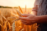 A man holds golden ears of wheat against the background of a ripening field. Farmer's hands close-up. The concept of planting and harvesting a rich harvest.