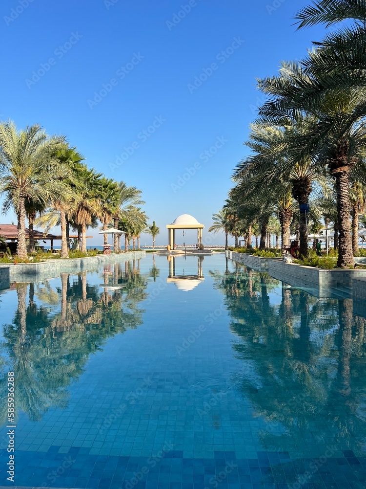 outdoor swimming pool on the sea against the backdrop of palm trees and the sky
