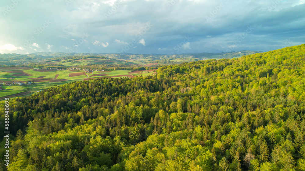 AERIAL: Stunning sight of green forest trees with cultivated area in background