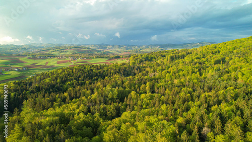 AERIAL  Stunning sight of green forest trees with cultivated area in background