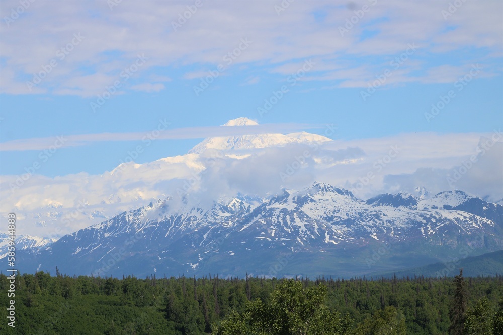 Fototapeta premium Denali Mountain in Alaska