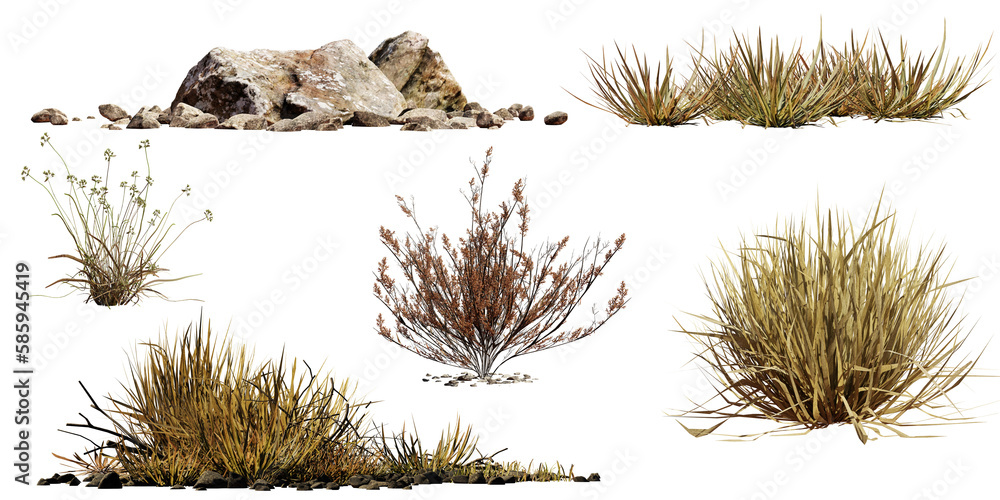 desert collection, dry plants and rocks set, isolated on transparent background - obrazy, fototapety, plakaty 