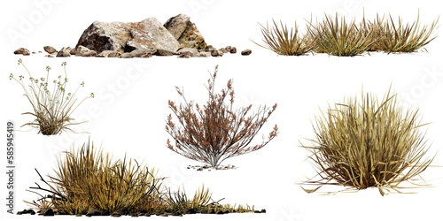 Fotobehang desert collection, dry plants and rocks set, isolated on transparent background