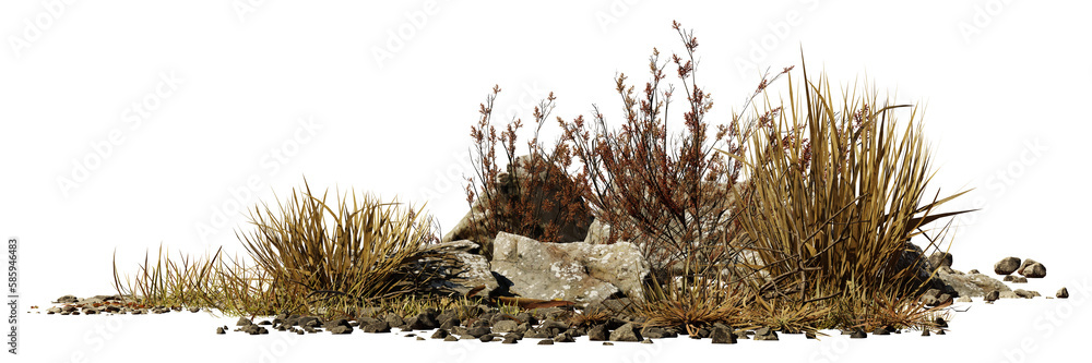 desert scene cutout, dry plants with rocks isolated on transparent background banner - obrazy, fototapety, plakaty 