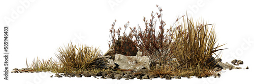 Print op canvas desert scene cutout, dry plants with rocks isolated on transparent background ba